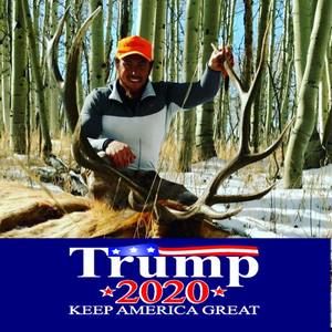 Meet your Posher, Lyle